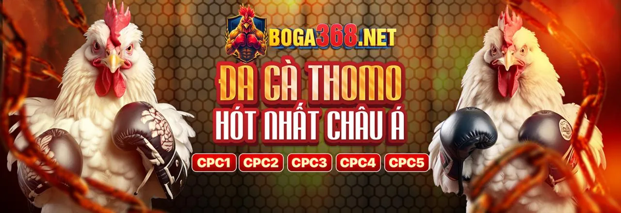 Cá cược thể thao Kufun